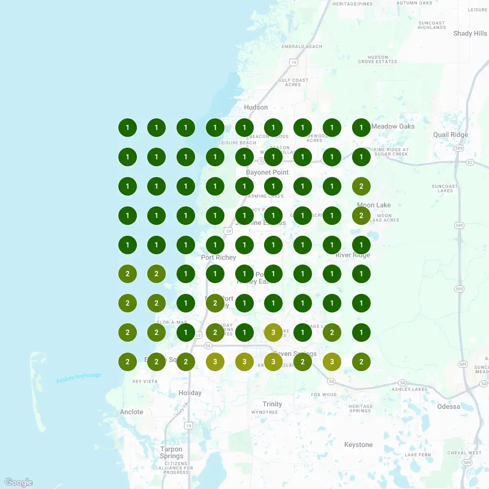 Map pack scan grid over Port Richey after the work, with nearly every dot green at position 1 or 2