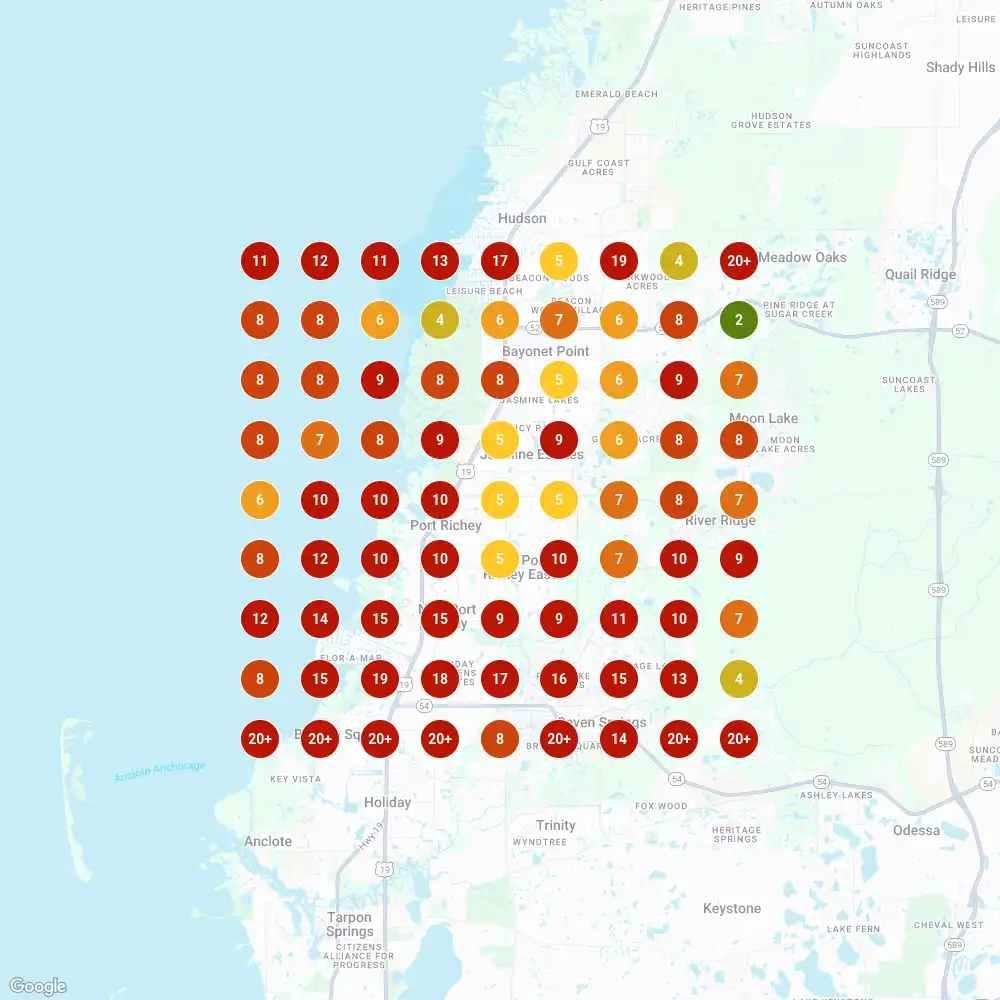Map pack scan grid over Port Richey before the work, with most dots in orange and red, mostly positions 5 to 20
